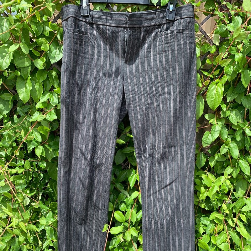 Banana Republic Striped Sloan Pants